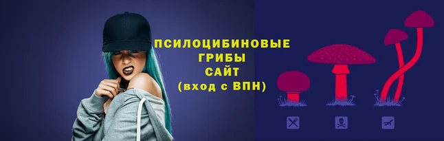 героин Алзамай